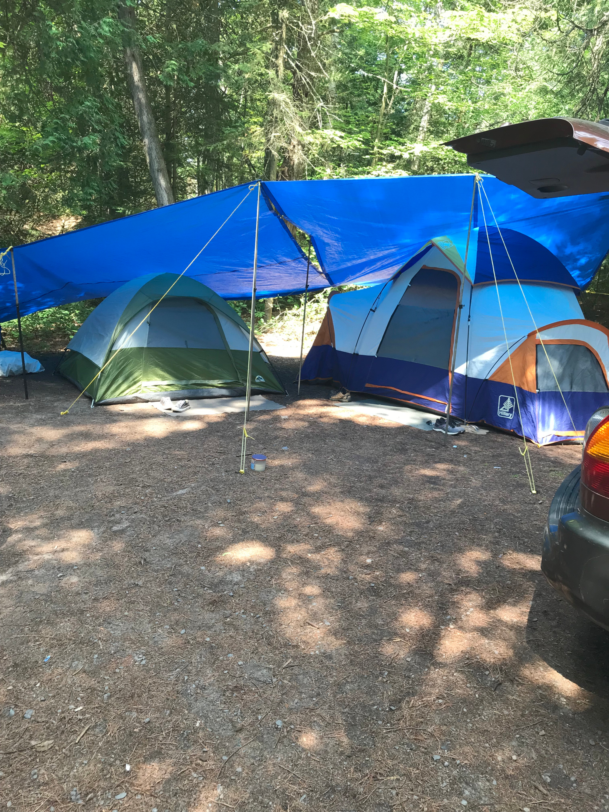 Camping in Sandbanks
