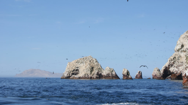 Peru Rocks and Birds